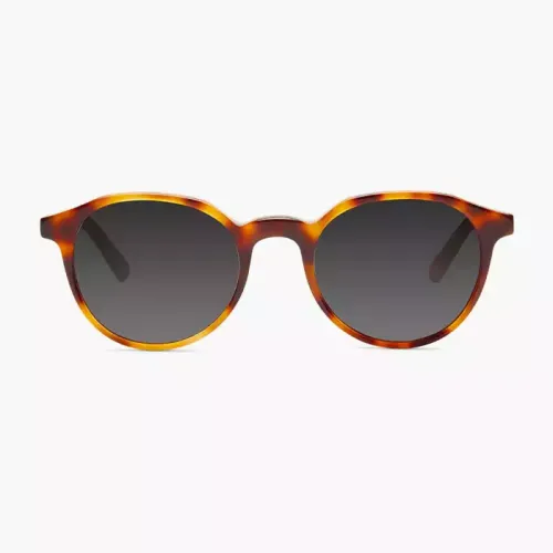 Barner Williamsburg Sunglasses - Havana